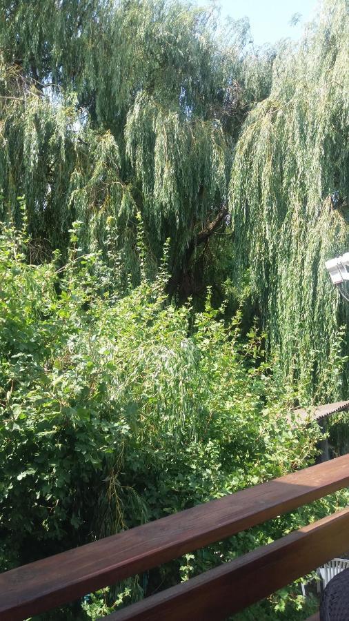 Vakáció Apartman Balatonalmádi Esterno foto