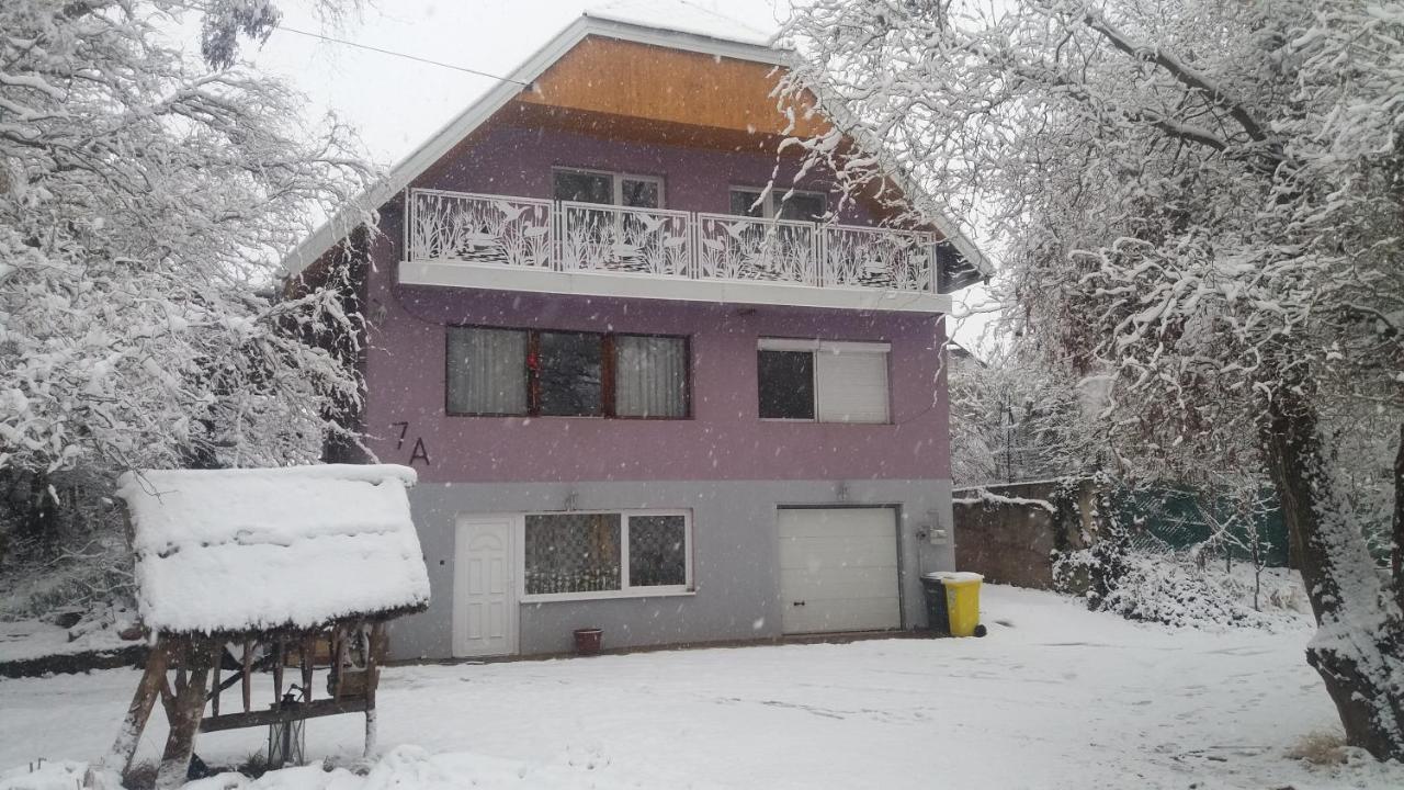Vakáció Apartman Balatonalmádi Esterno foto